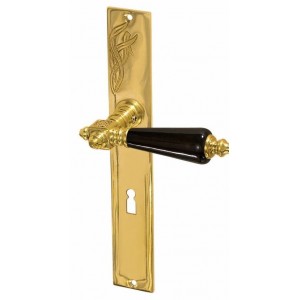 Ferrure de porte avec plaque longue - modèle "Nuits-Saint-Georges B" - laiton poli