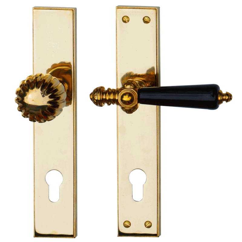 Poignée et bouton de porte à longues plaques pour portes d'entrée - art  nouveau - modèle Hardegg - laiton poli